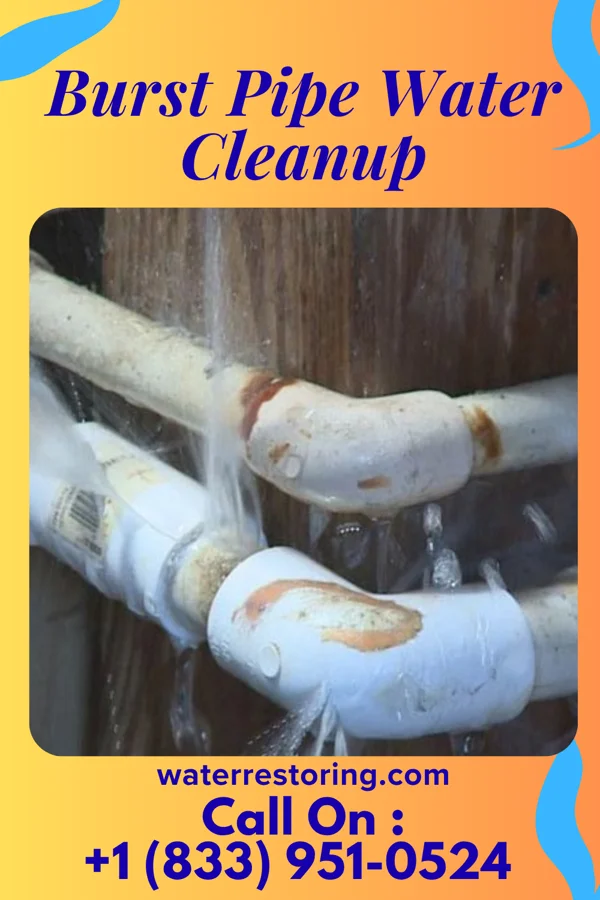 Burst Pipe Water Cleanup in Lake Dalecarlia, IN