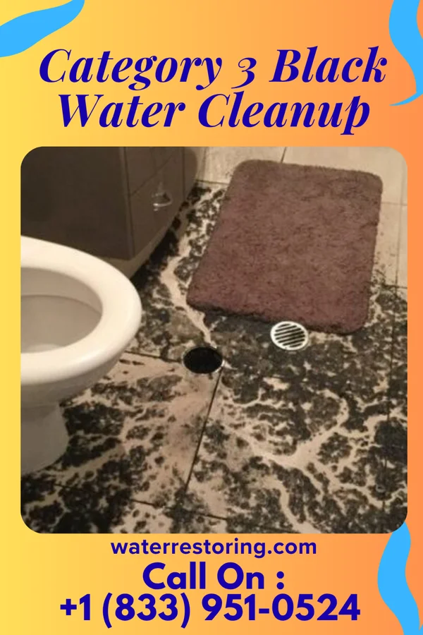 Category 3 Black Water Cleanup in Lake Dalecarlia, IN