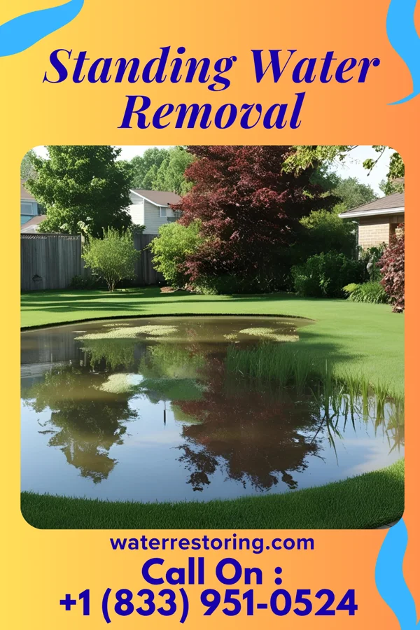 Standing Water Removal in Lake Dalecarlia, IN